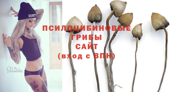 индика Алзамай
