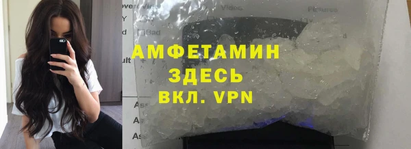 индика Алзамай