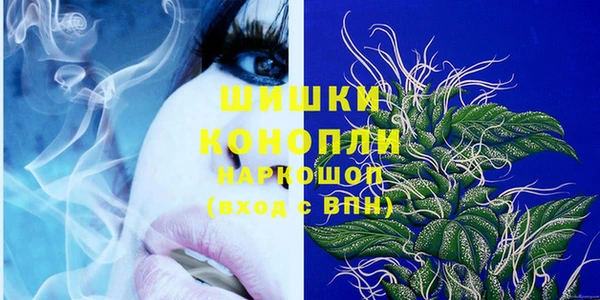 индика Алзамай