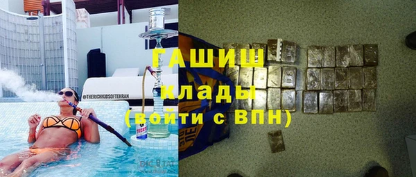 индика Алзамай