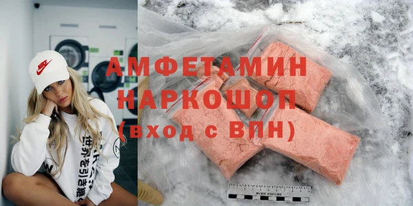индика Алзамай