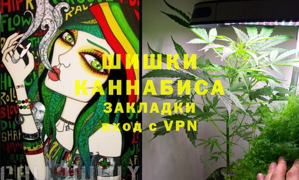 индика Алзамай