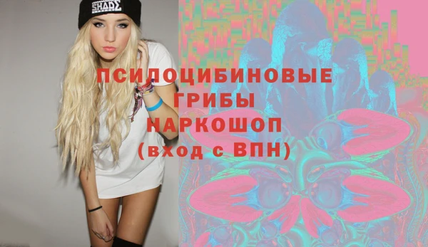 кокс Алексин