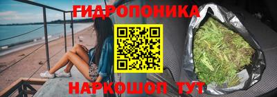 твердый Новокубанск