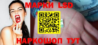 мяу мяу мука Новозыбков
