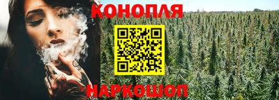 мяу мяу мука Новозыбков
