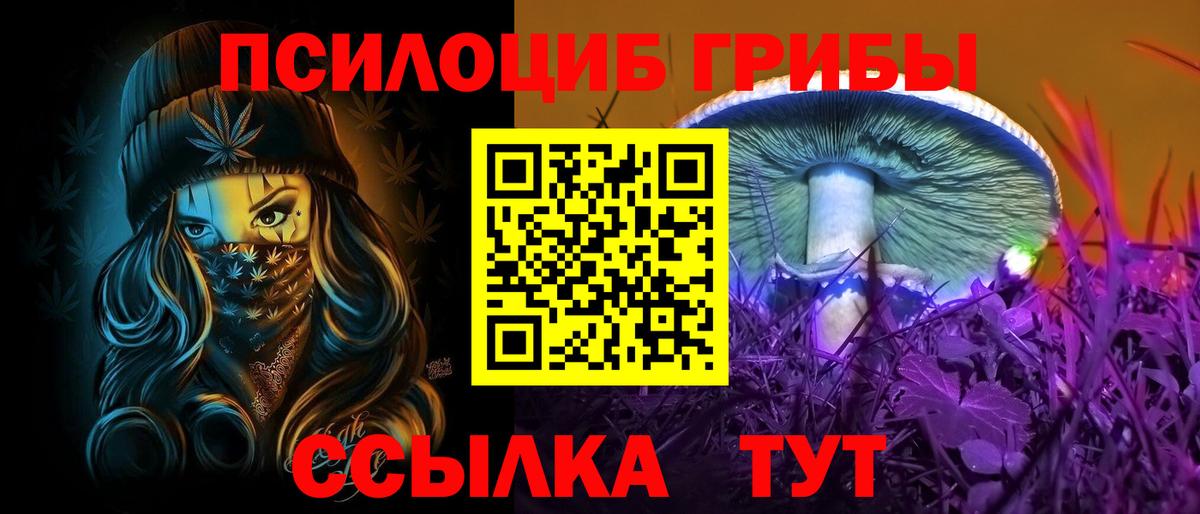 Якутск  Псилоцибиновые грибы прущие грибы  Галлюциногенные грибы Psilocybine cubensis  Вход с VPN 